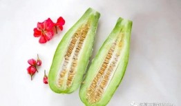 怀仁最近网红大瓜